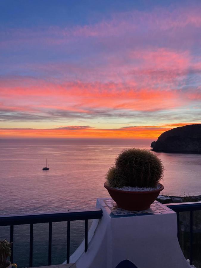 Hotel Villa Maria Sant'Angelo  Eksteriør bilde