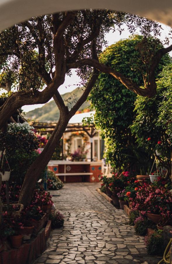 Hotel Villa Maria Sant'Angelo  Eksteriør bilde