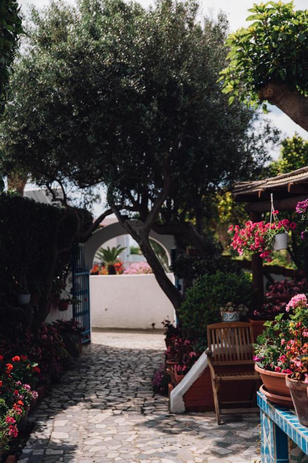 Hotel Villa Maria Sant'Angelo  Eksteriør bilde