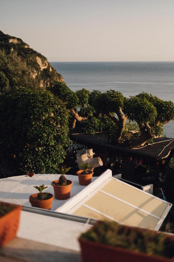 Hotel Villa Maria Sant'Angelo  Eksteriør bilde